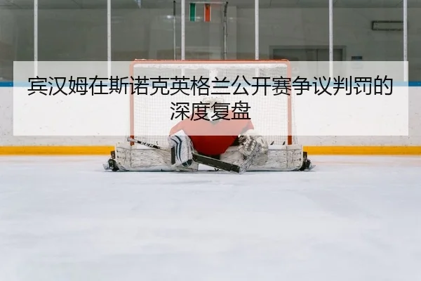 宾汉姆在斯诺克英格兰公开赛争议判罚的深度复盘