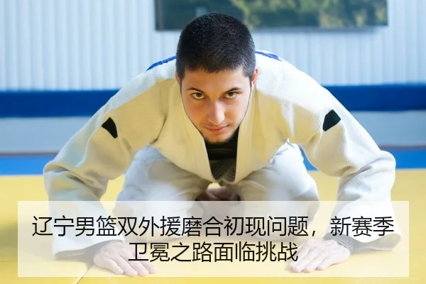 liao-ning-nan-lan-shuang-wai-yuan-mo-he-chu-xian-wen-ti-xin-sai-ji-wei-mian-zhi-lu-mian-lin-tiao-zhan-2-681.jpg